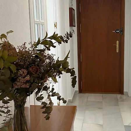 Apartmán Jerez Avenida *