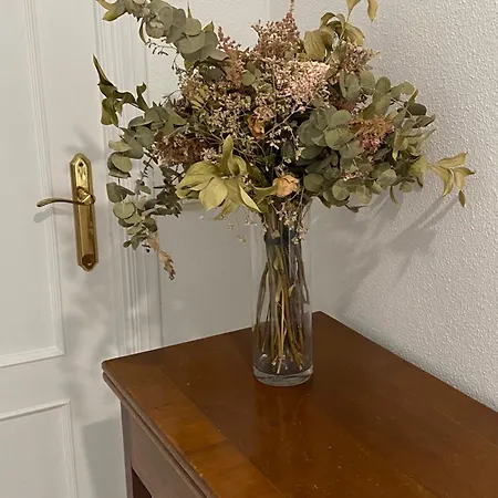 Apartmán Jerez Avenida Jerez de la Frontera